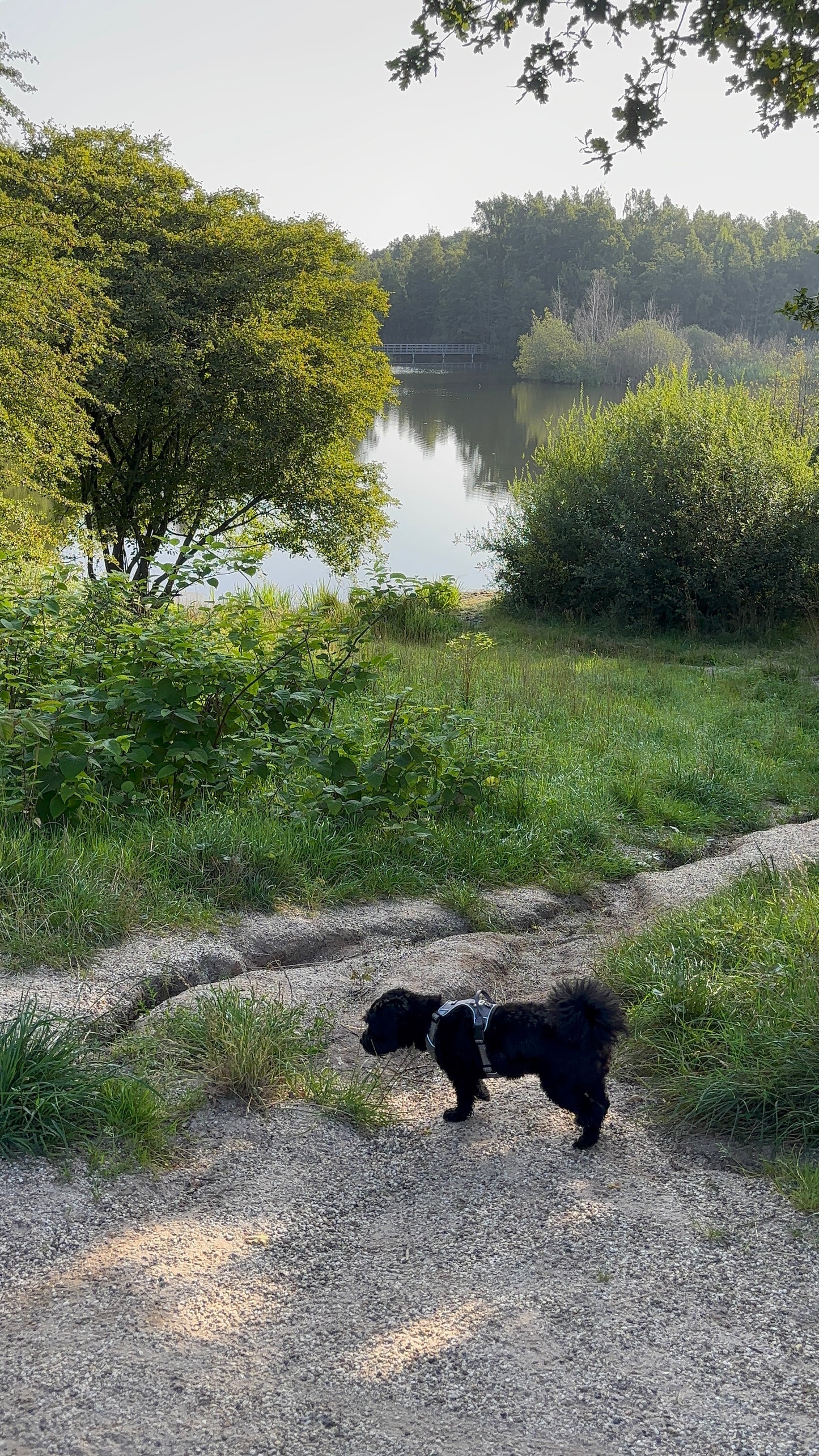 Wandelen 2 maanden